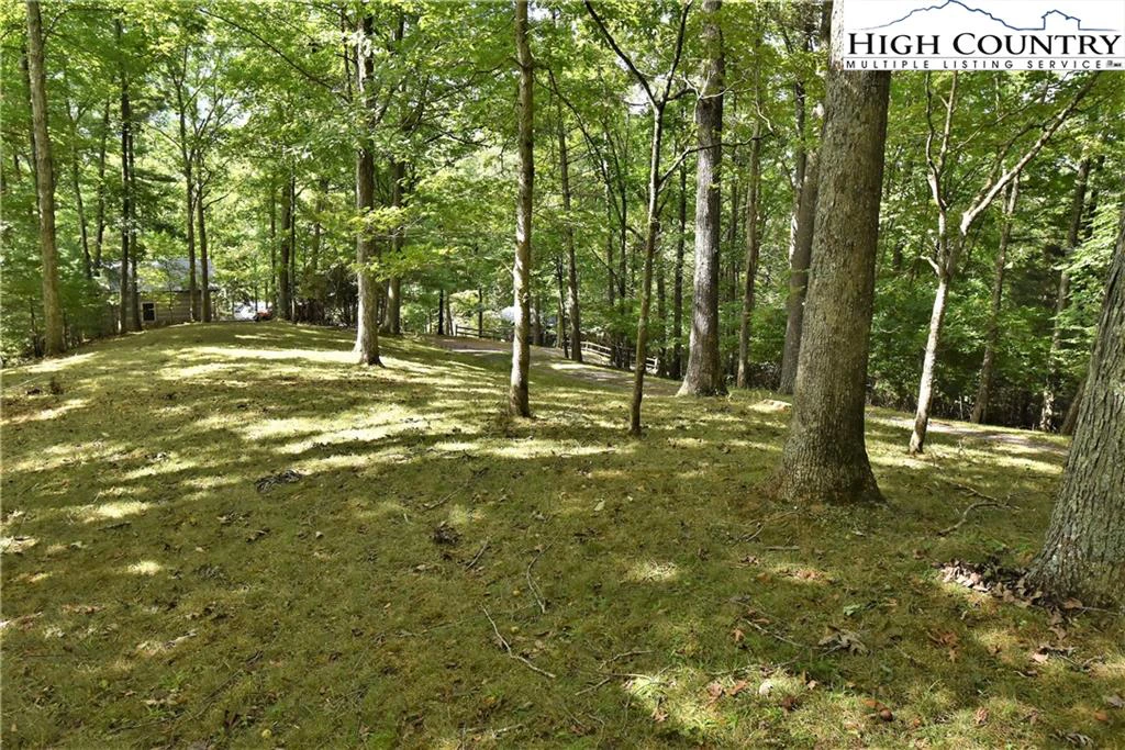 Image number 5 for the current listing