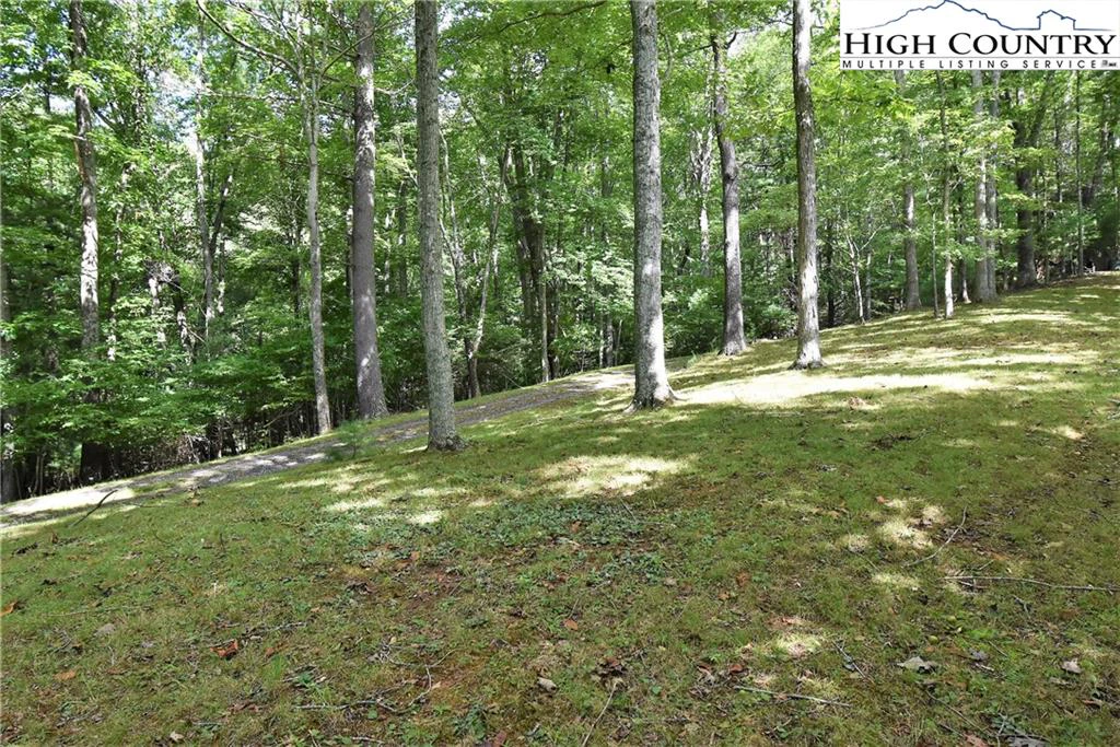 Image number 6 for the current listing