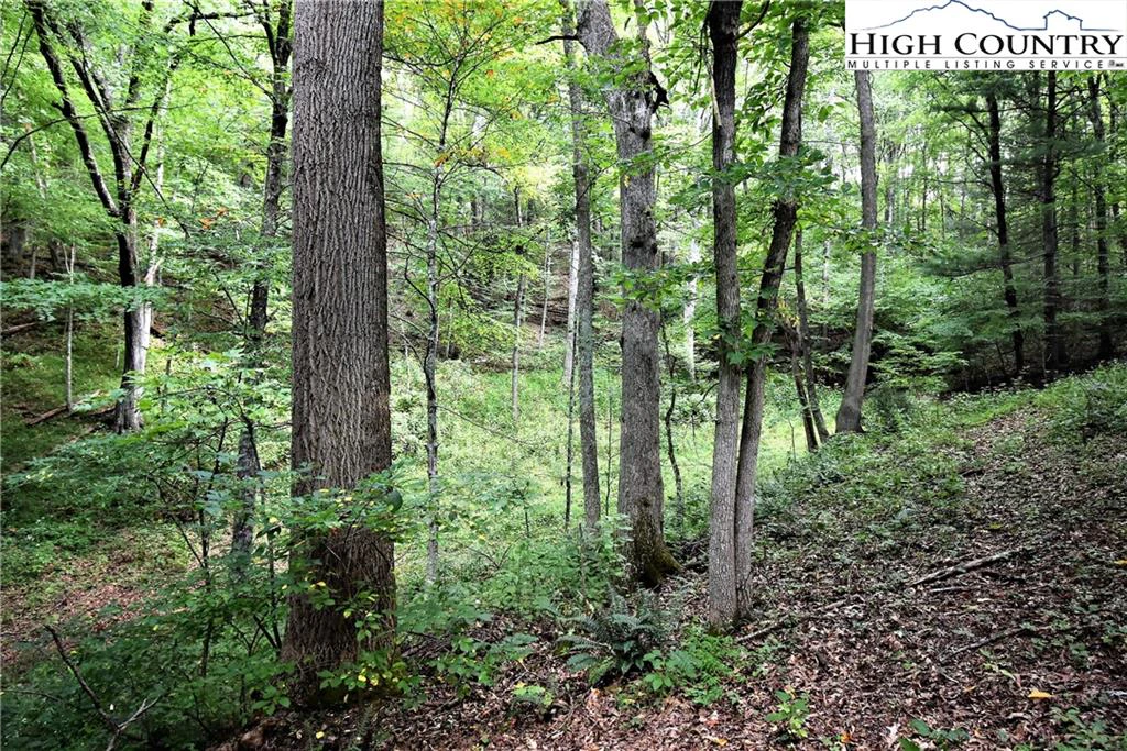 Image number 7 for the current listing