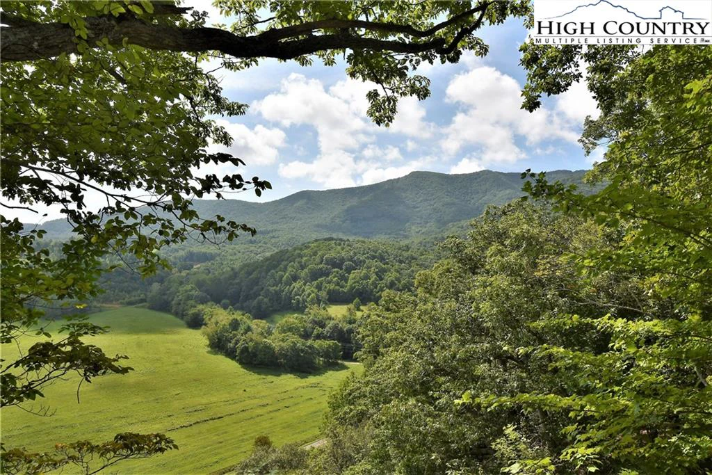 Image number 1 for the current listing
