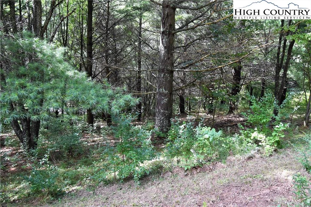Image number 3 for the current listing
