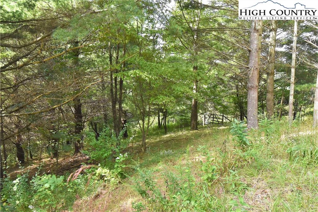Image number 4 for the current listing