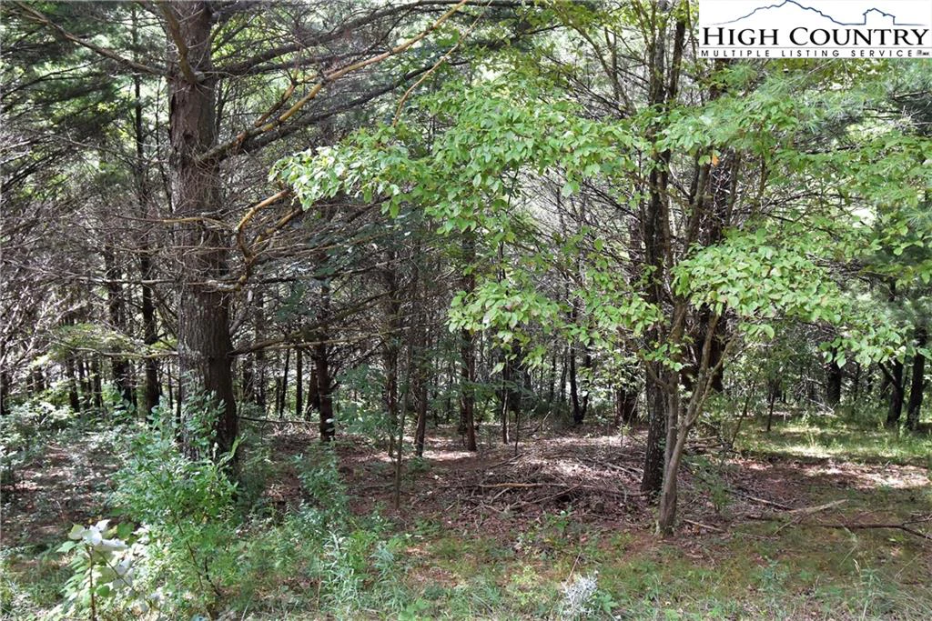 Image number 5 for the current listing