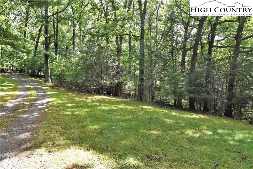Image number 3 for the current listing