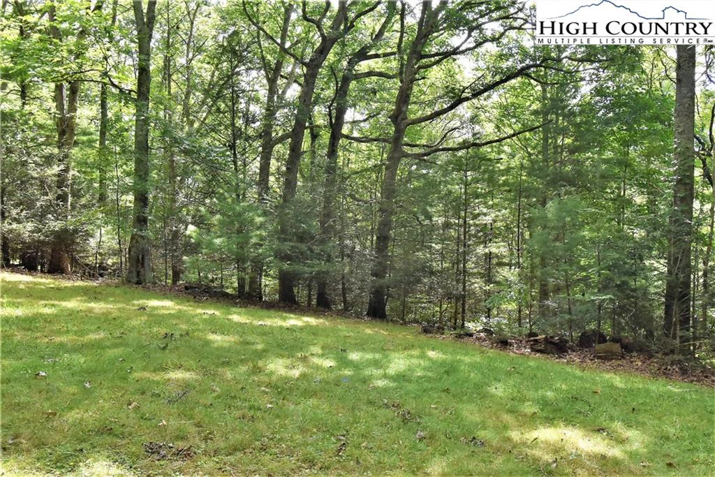 Image number 4 for the current listing