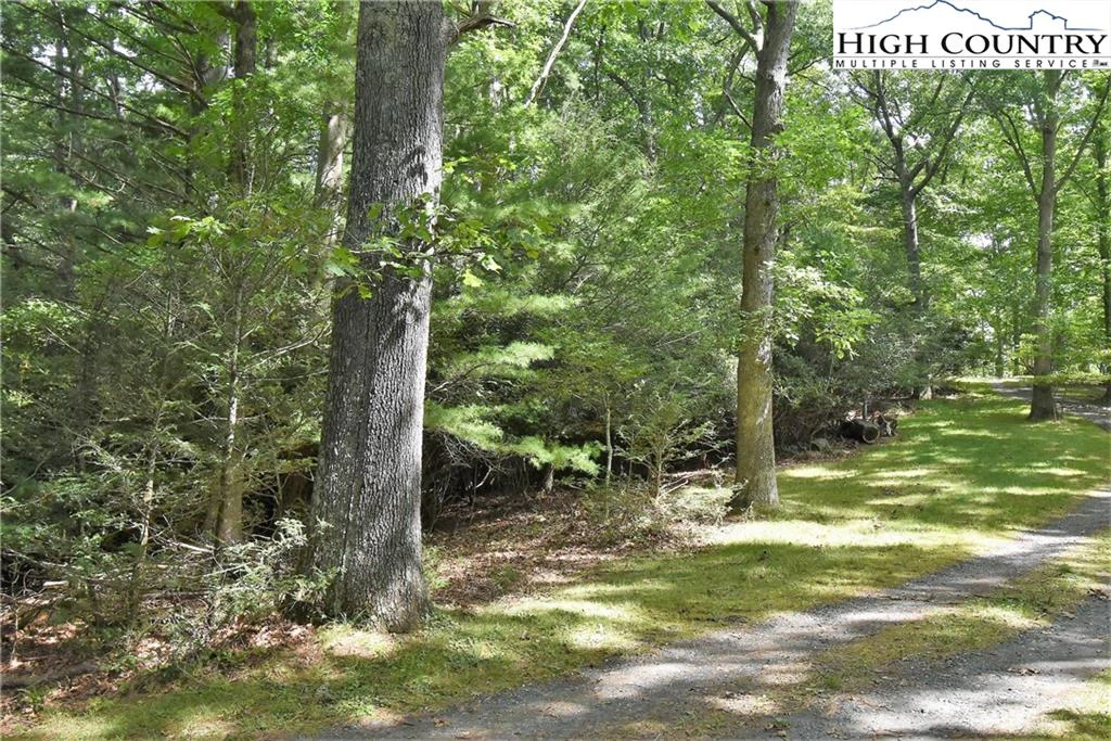 Image number 5 for the current listing