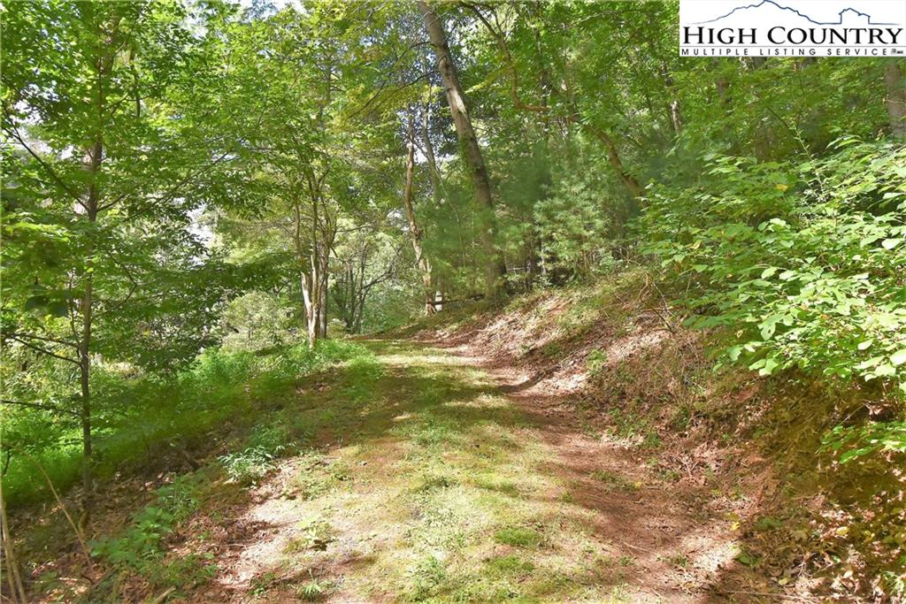 Image number 3 for the current listing