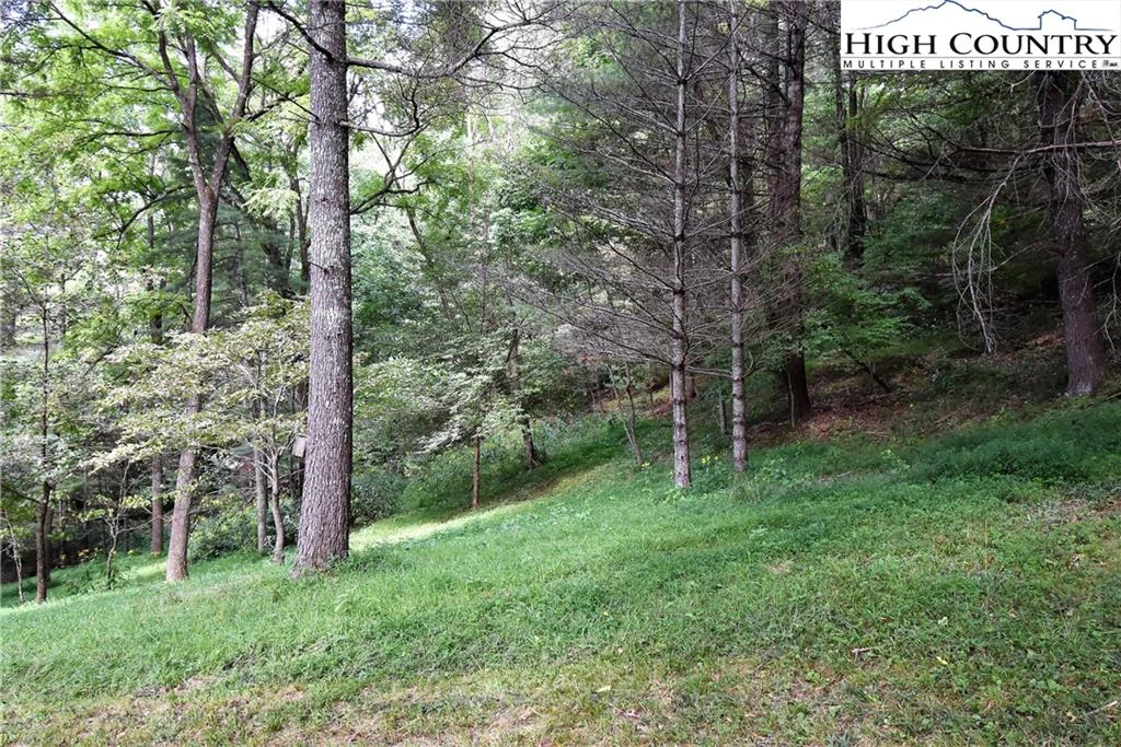 Image number 4 for the current listing