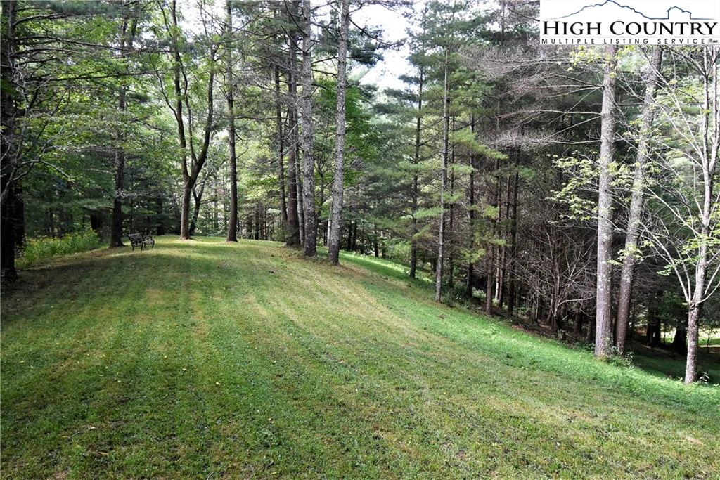 Image number 5 for the current listing