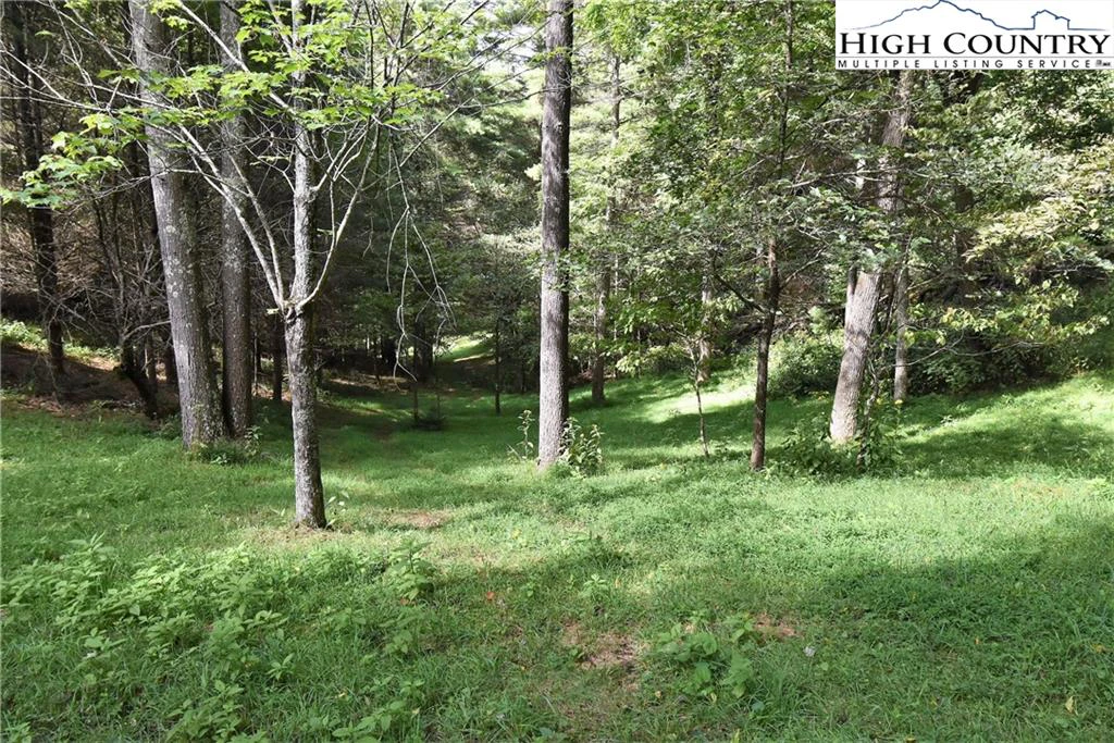 Image number 6 for the current listing