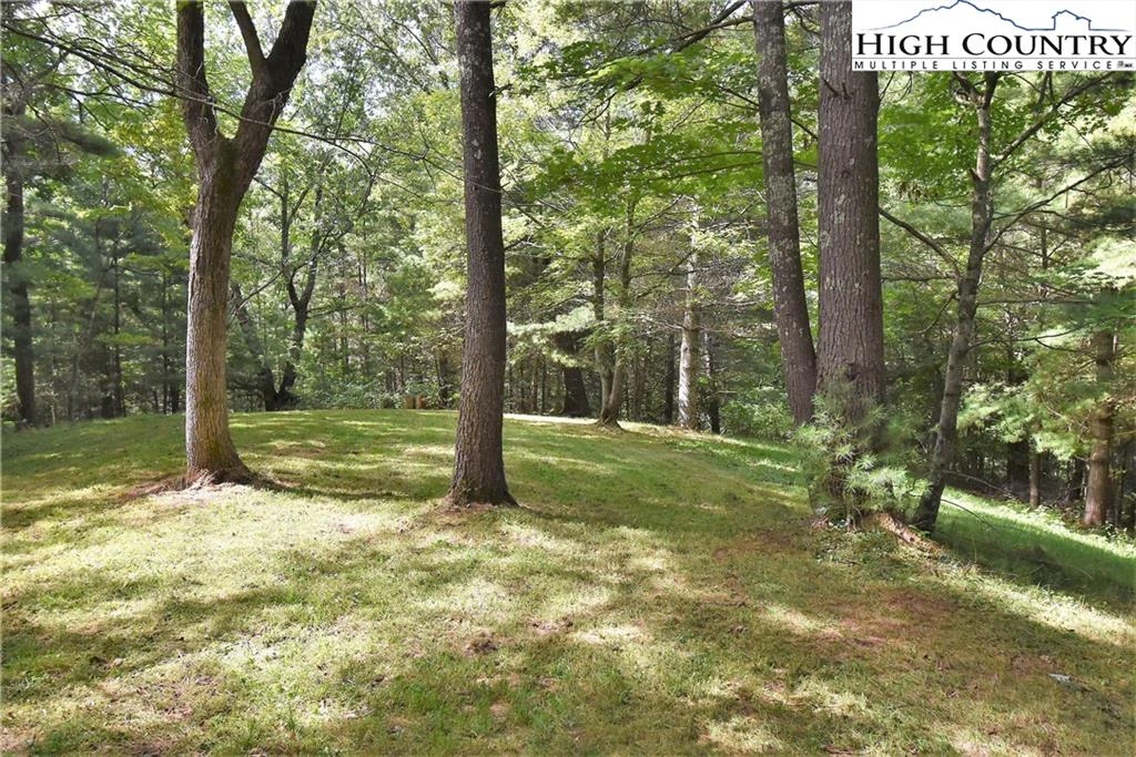 Image number 7 for the current listing