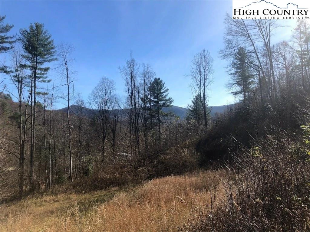 Image number 3 for the current listing
