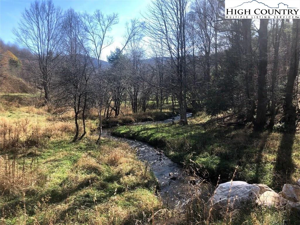 Image number 4 for the current listing