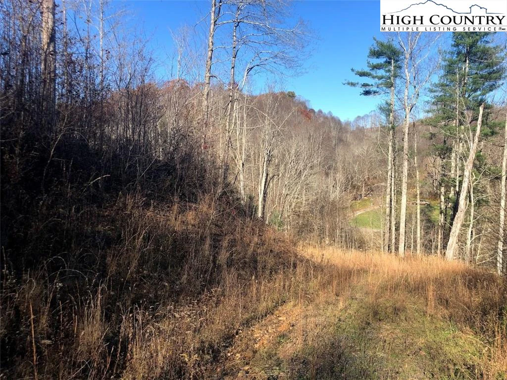 Image number 6 for the current listing