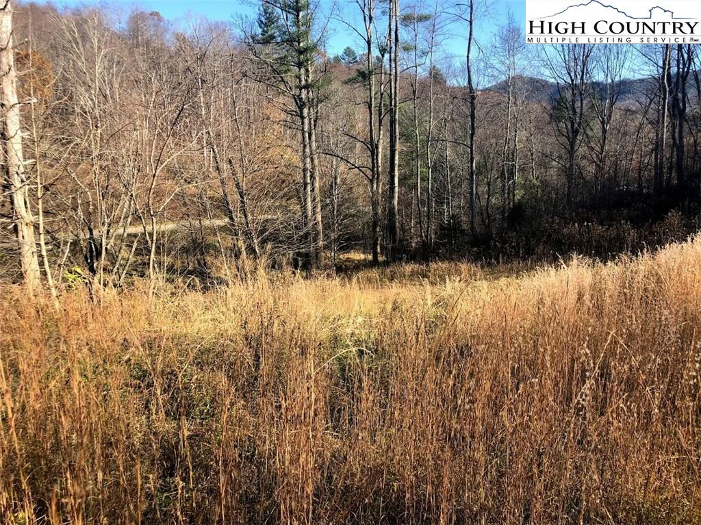 Image number 15 for the current listing