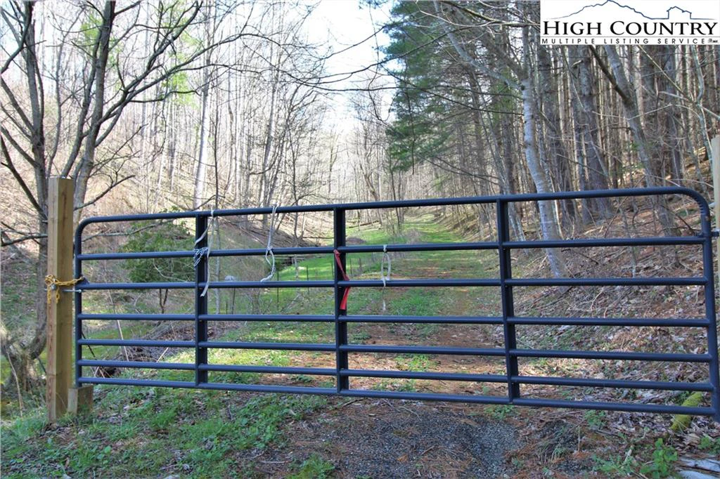 Image number 1 for the current listing
