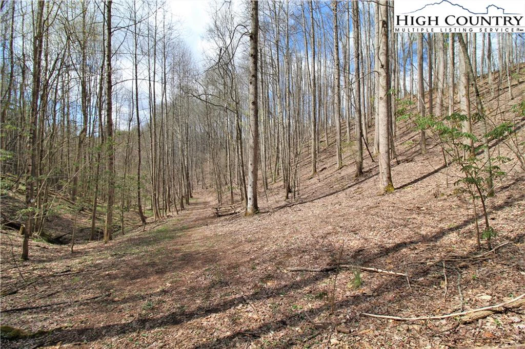Image number 6 for the current listing