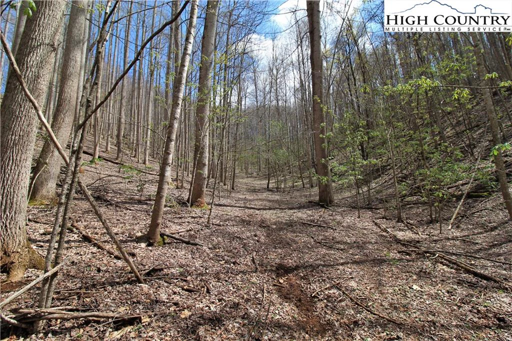 Image number 5 for the current listing
