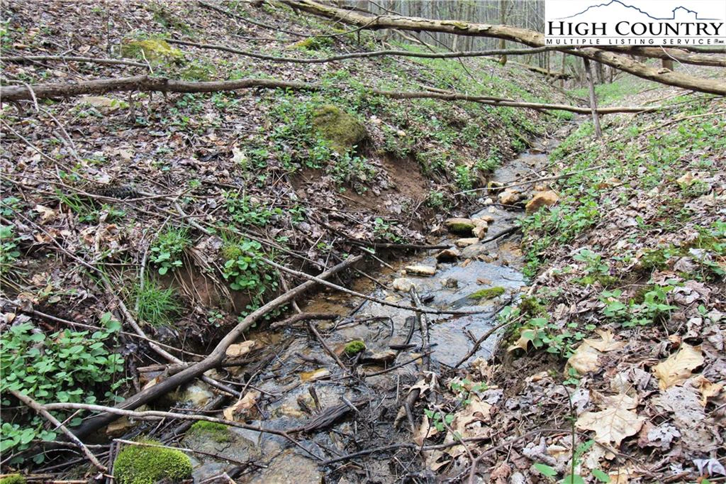 Image number 4 for the current listing