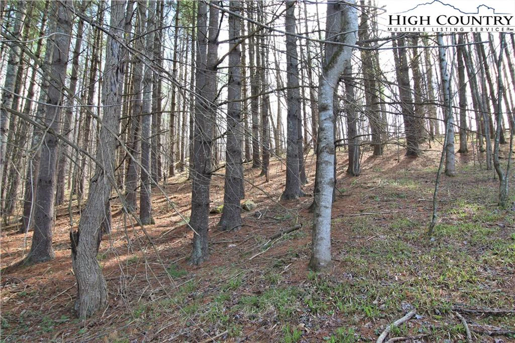 Image number 16 for the current listing