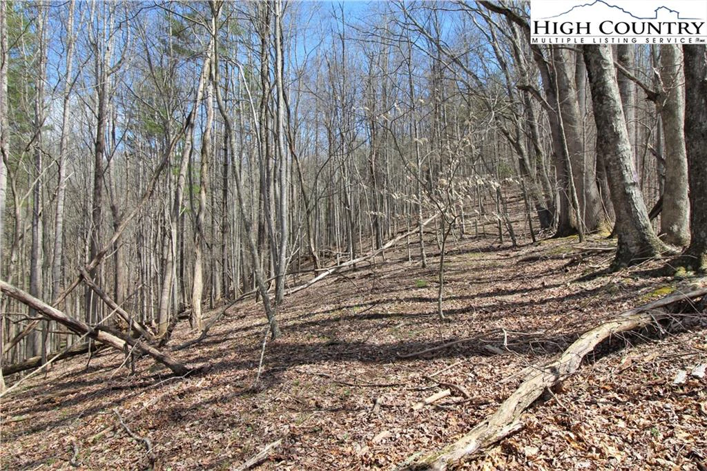 Image number 15 for the current listing
