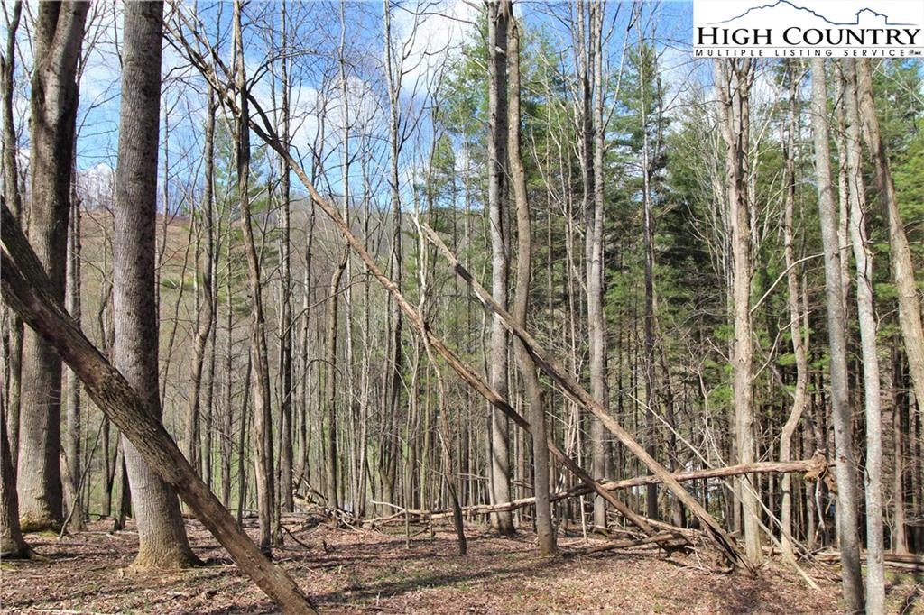 Image number 14 for the current listing