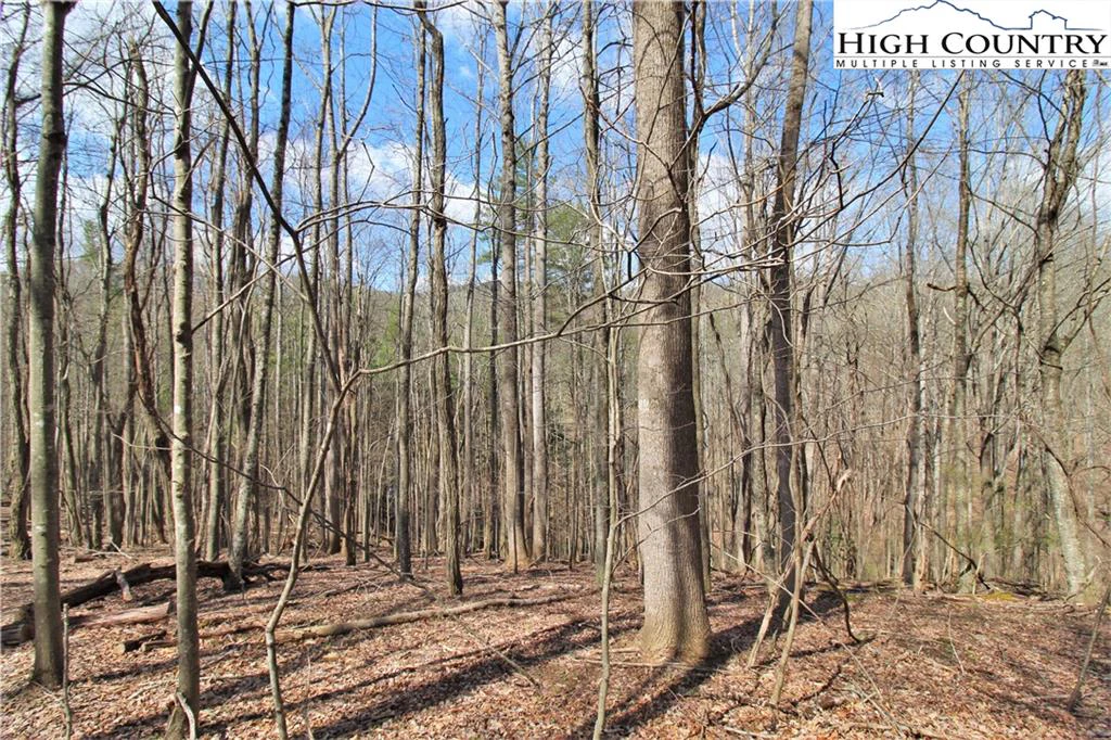 Image number 12 for the current listing