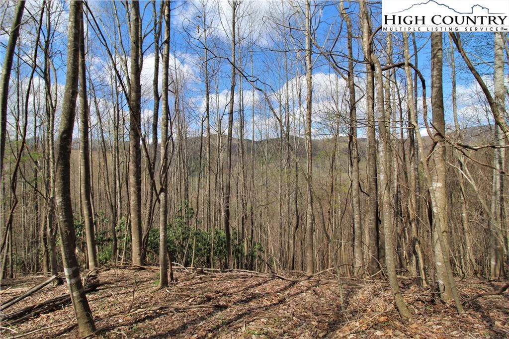 Image number 11 for the current listing