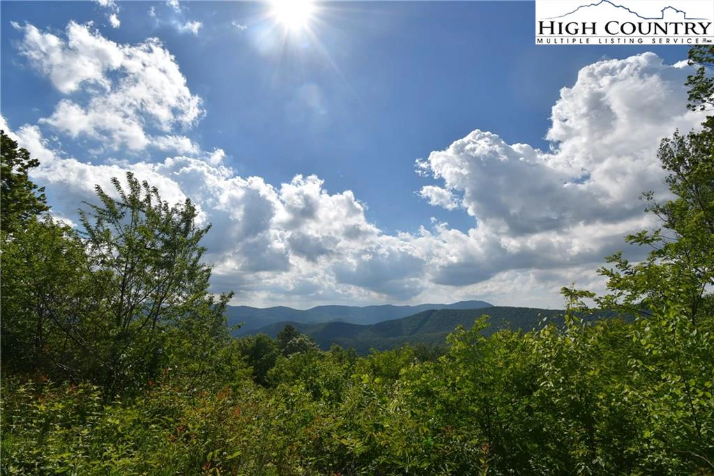 Image number 1 for the current listing