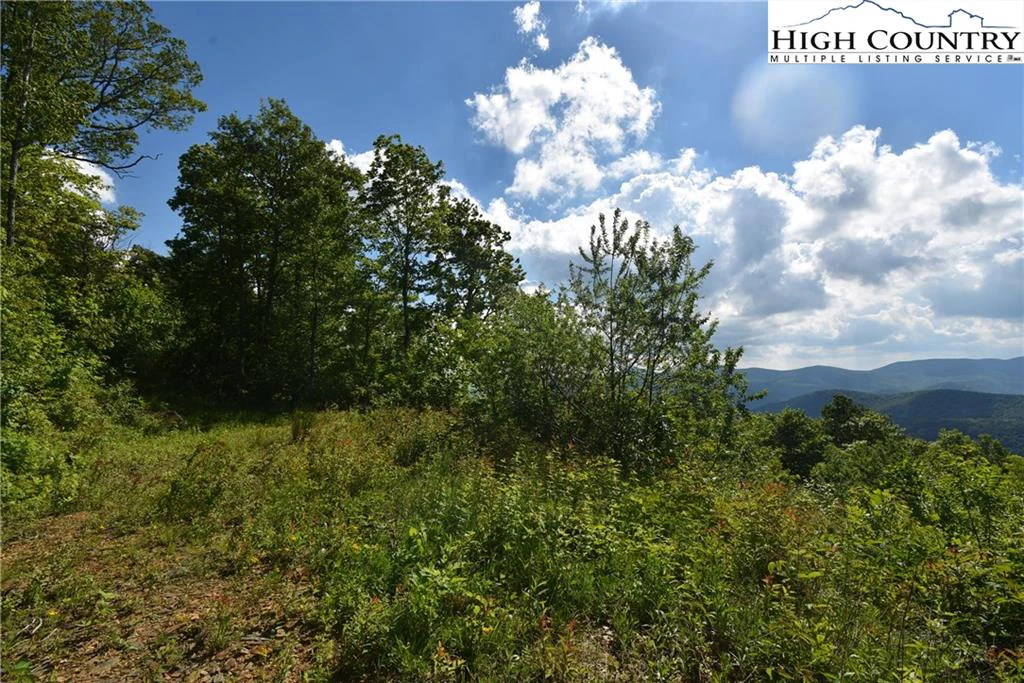 Image number 3 for the current listing