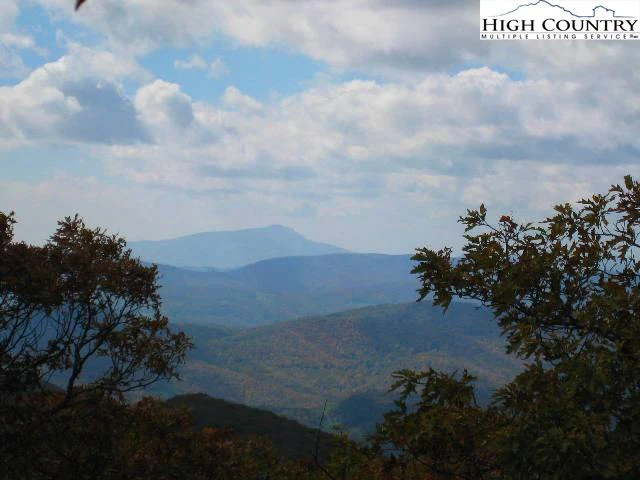Image number 5 for the current listing