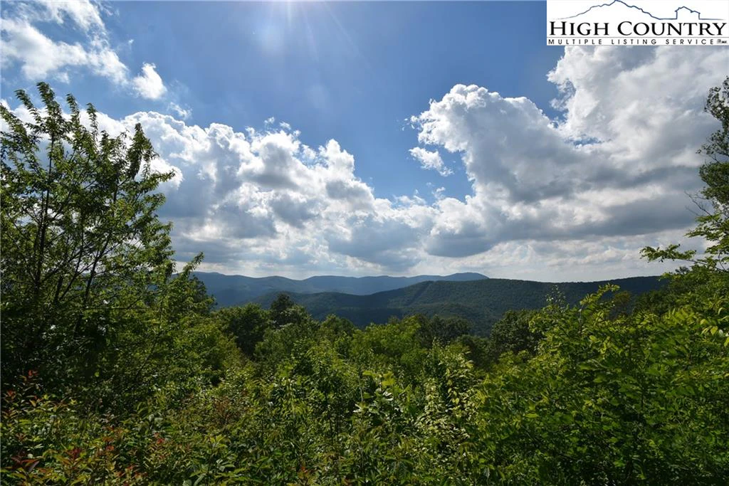 Image number 6 for the current listing