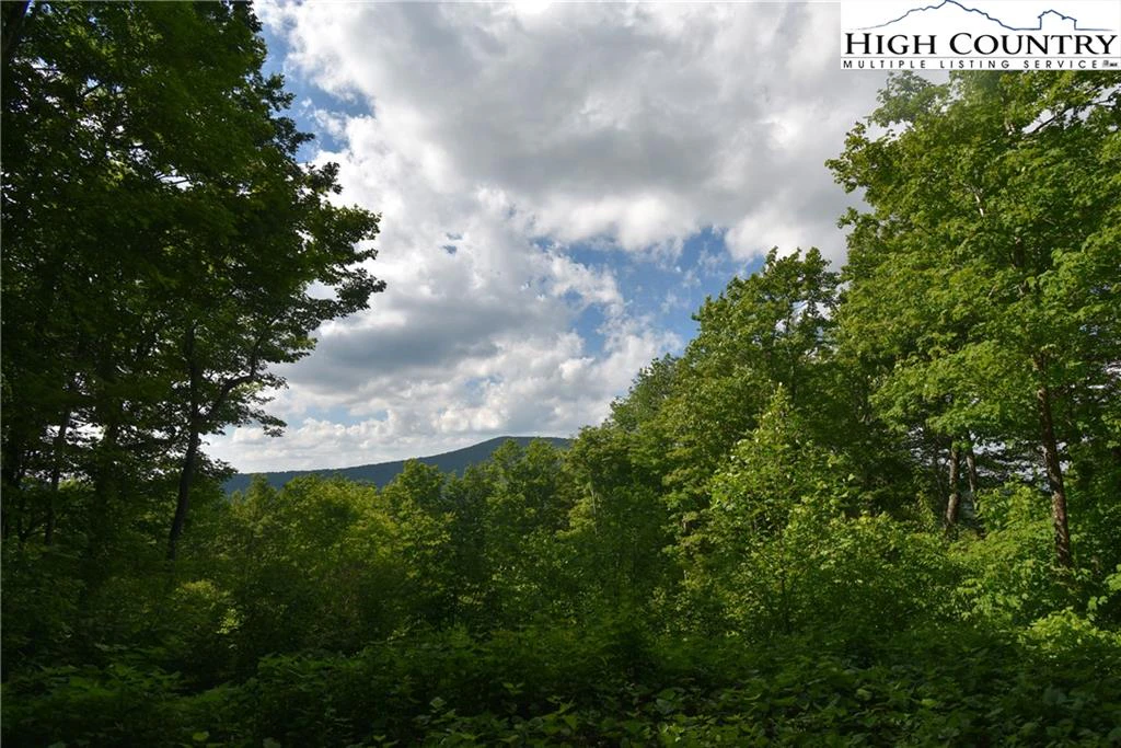 Image number 1 for the current listing