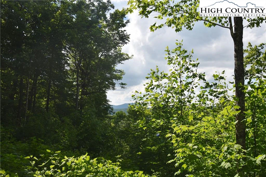 Image number 3 for the current listing