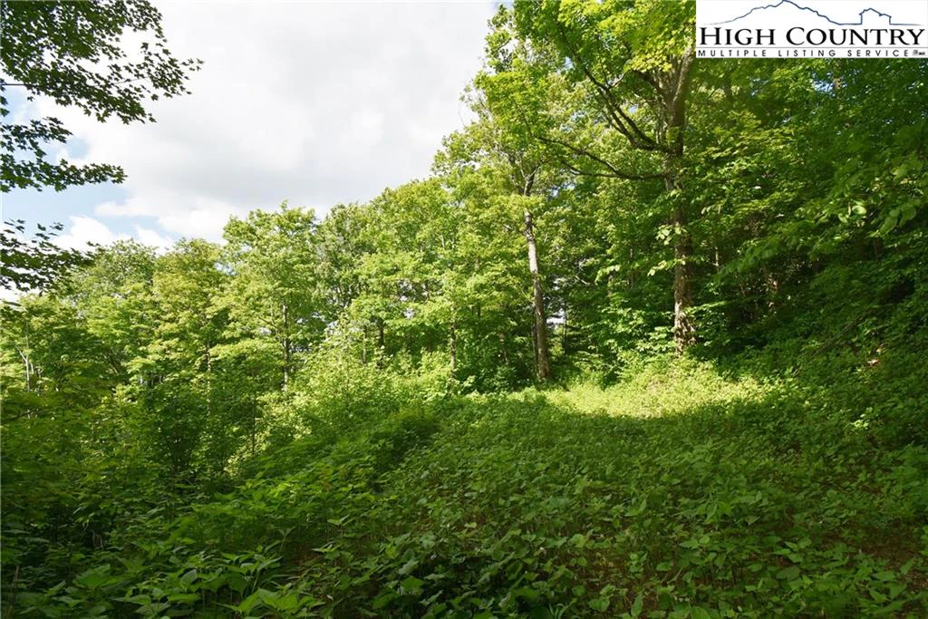 Image number 6 for the current listing