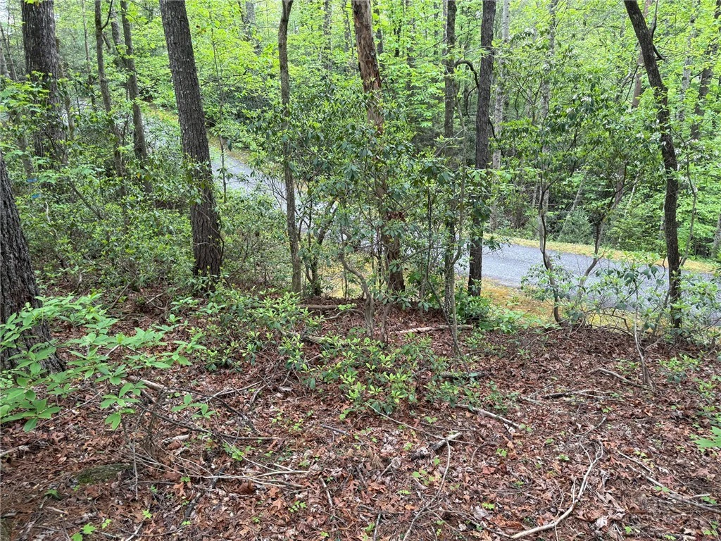 Image number 1 for the current listing