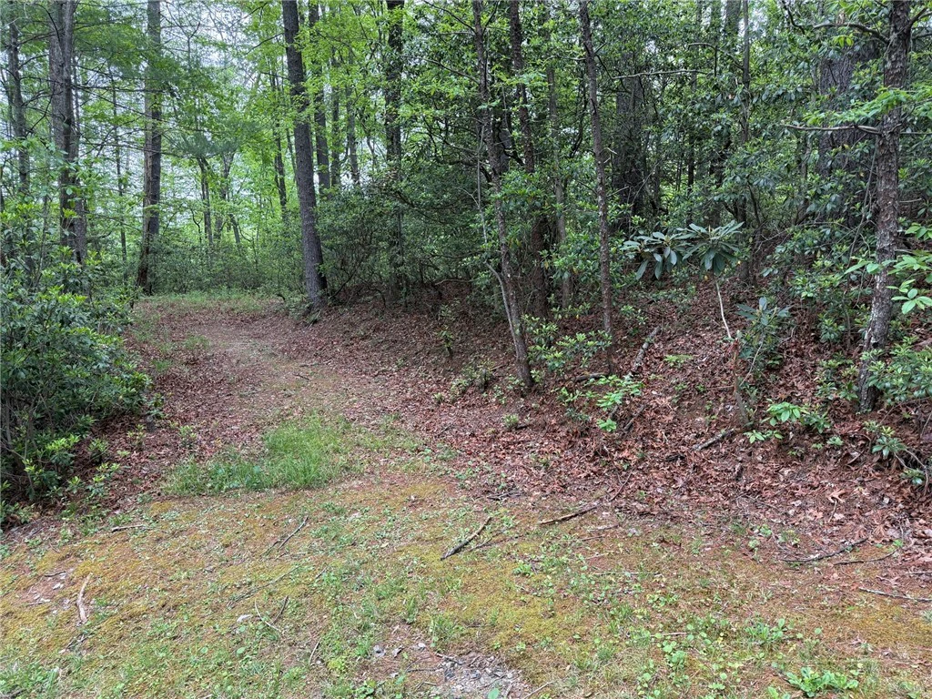 Image number 18 for the current listing