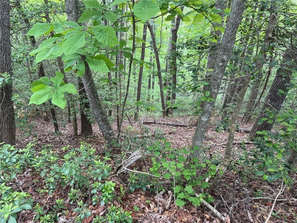 Image number 14 for the current listing