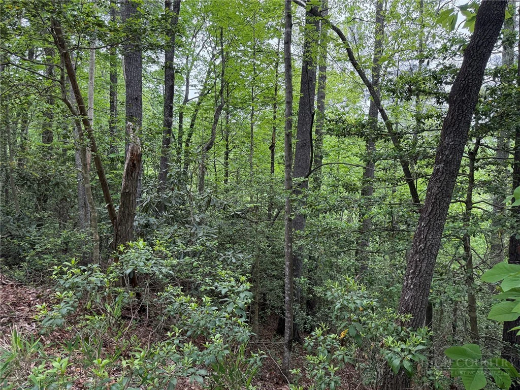 Image number 13 for the current listing