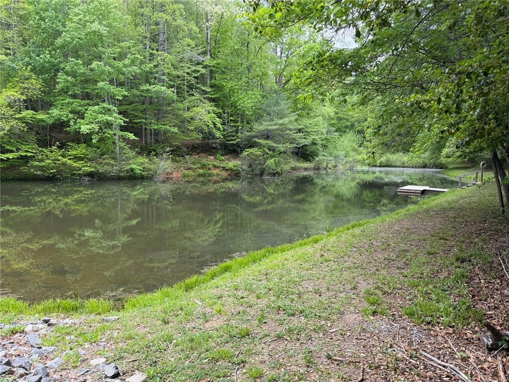 Image number 2 for the current listing