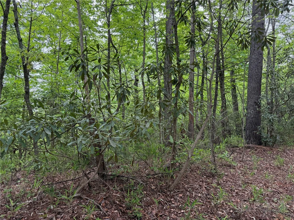 Image number 11 for the current listing