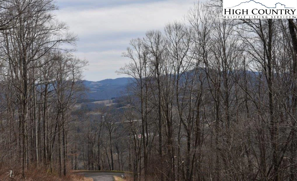 Image number 1 for the current listing