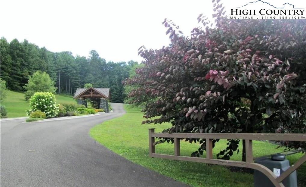 Image number 6 for the current listing