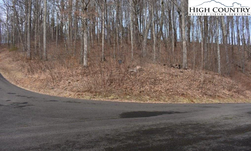 Image number 7 for the current listing