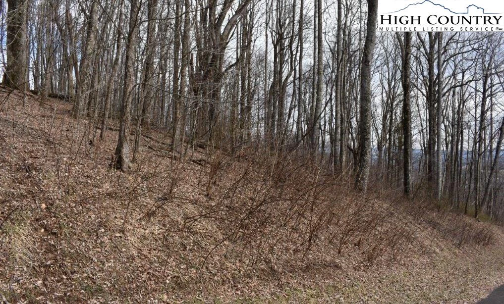 Image number 8 for the current listing