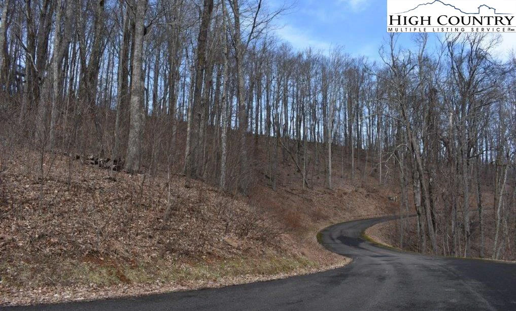 Image number 9 for the current listing