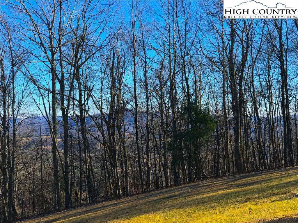 Image number 4 for the current listing