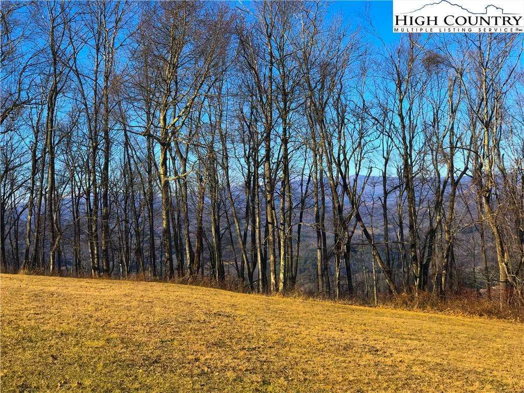 Image number 5 for the current listing