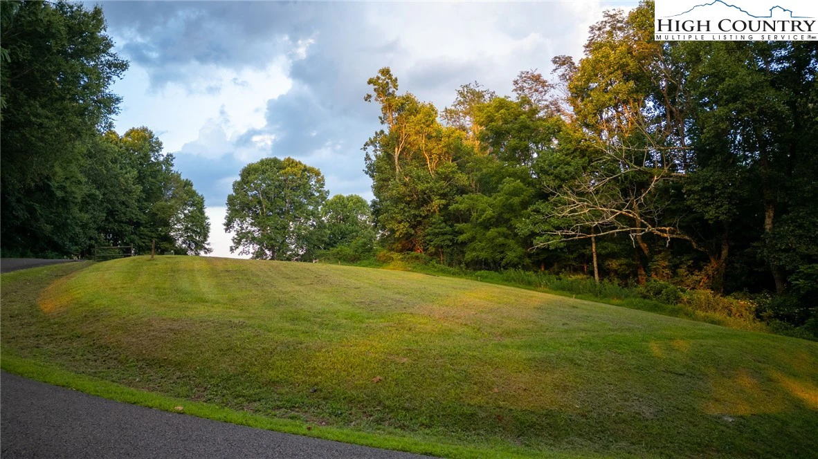 Image number 6 for the current listing