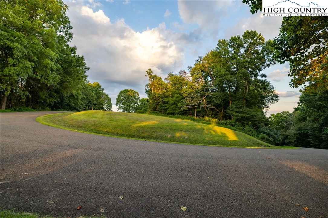 Image number 4 for the current listing